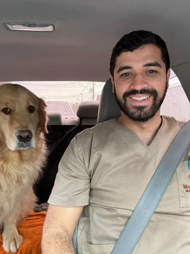 Cuidado veterinário humanizado para cachorro em ambiente familiar